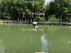 -乌村