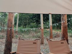 -桉树林A coffee 森林餐厅(三圣乡店)