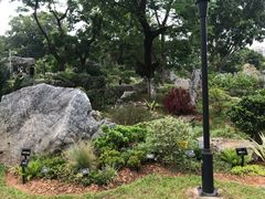 -东莞植物园