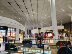 -郑州新郑国际机场-T2航站楼