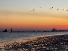 -上海吴淞炮台湾国家湿地公园