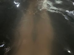 -黄瓜箐温泉疗养院