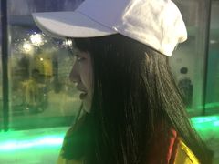 -世界之窗阿尔卑斯冰雪世界
