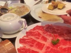 -食为先(Shark Fin)