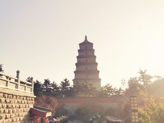 -陇兴楼(西安咸阳国际机场店)