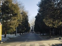 -北京体育大学篮球馆(上地店)