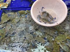 -兰坡海鲜市场