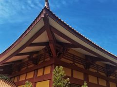 -三水森林公园