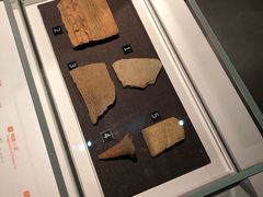 -盘龙城遗址博物院