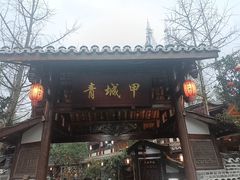 -青城甲(青城山店)