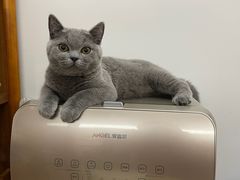 -lincat·猫舍(广州店)