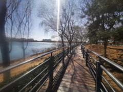 -大兴滨河森林公园