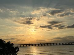 -宝安西湾红树林湿地公园