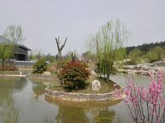 android_upload_pic-鹦鹉寺公园