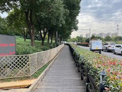 -树山生态村