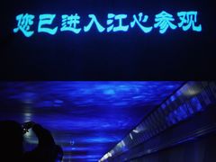 -白鹤梁水下博物馆