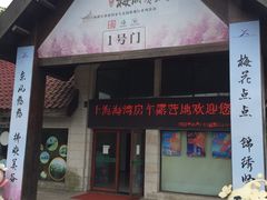 -上海海湾国家森林公园