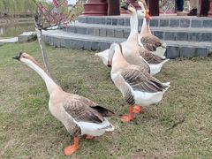-木兰水镇旅游景区