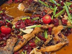 -老板恋上鱼(恒隆广场店)