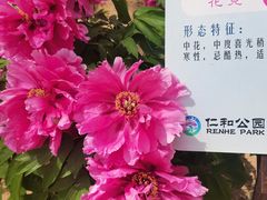 -仁和公园(顺义区)