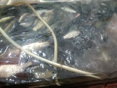 -肥鱼屯活鱼锅(惠工街店)