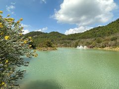 -广州白江湖森林公园