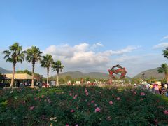 -亚龙湾国际玫瑰谷