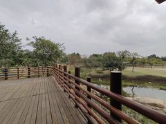 -海珠儿童公园