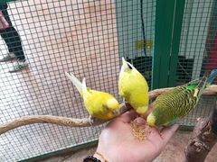 -杭州开元森泊度假乐园