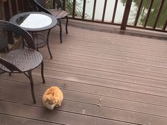 -上海怡沁园度假酒店