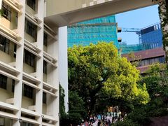 -香港大学
