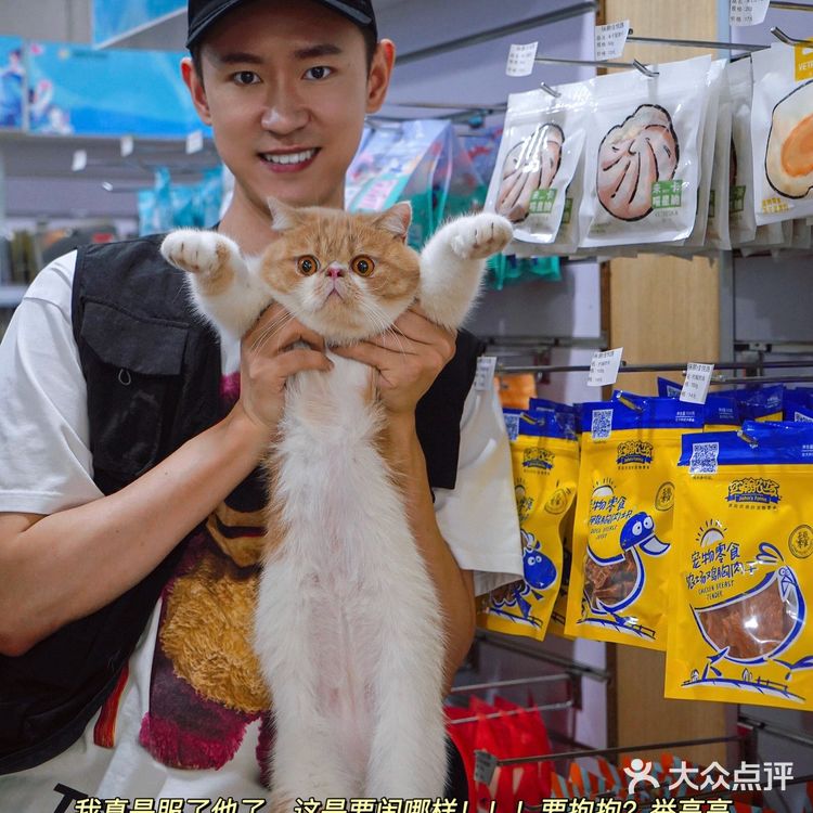 宇宙萌宠“甜茶🐱”日记|办个VIP做宠物届顶流🚀