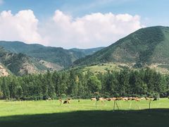 -塞罕坝国家级自然保护区