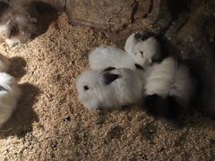 -中南南通体育会展中心