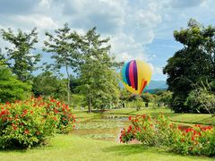-中国科学院西双版纳热带植物园