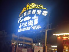 -三亚海昌梦幻海洋不夜城