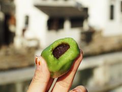 -沈记青团