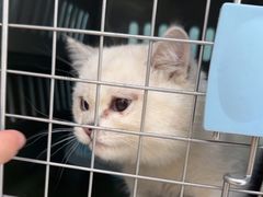 -美联众合动物医院·24h京西诊疗中心