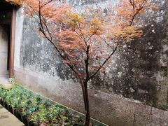 -慈城古县城景区