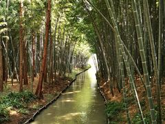 -同里国家湿地公园