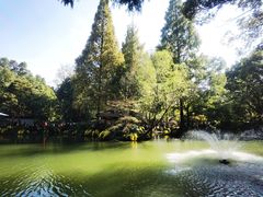 -杭州植物园