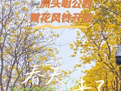 -洲头咀公园