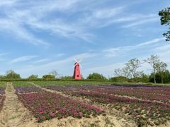 -同里国家湿地公园