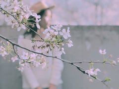 -龙美术馆(西岸馆)