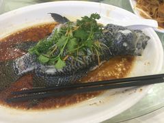 -旭璟酒家·传统粤菜·湘菜(逸景路店)