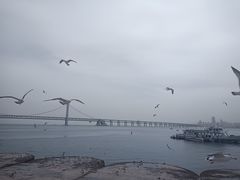 -星海广场