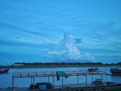 -大湾区中央湿地公园-十九涌