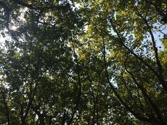 -上海孙中山故居纪念馆
