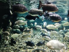 -成都浩海立方海洋公园