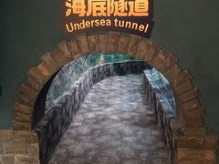 -南昌海洋公园